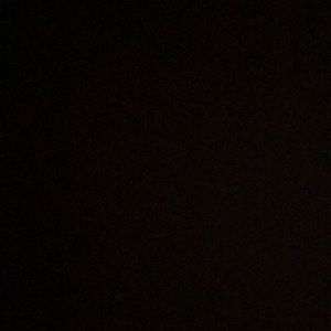 Meet your Posher, Tamila